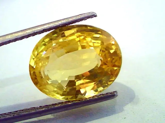 Huge 11.63 Ct Unheated Untreated Natural Ceylon Yellow Sapphire