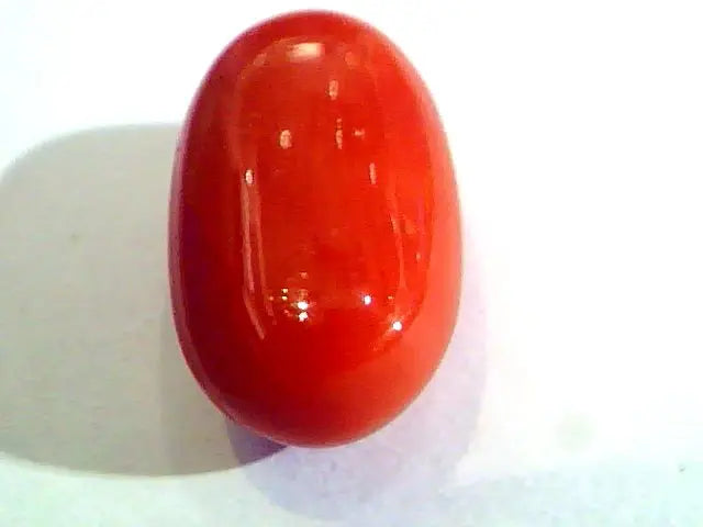 Huge 11.81 Ct Untreated Natural Premium Italian Red Coral AAAAA