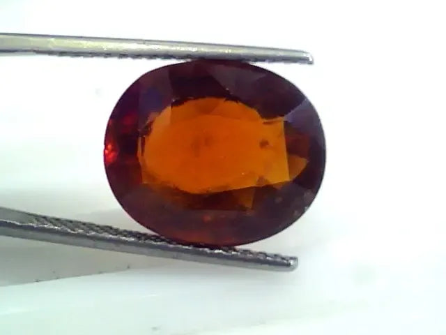Huge 11.72 Ct Untreated Premium Natural Ceylon Gomedh/Hessonite - Venus Gems