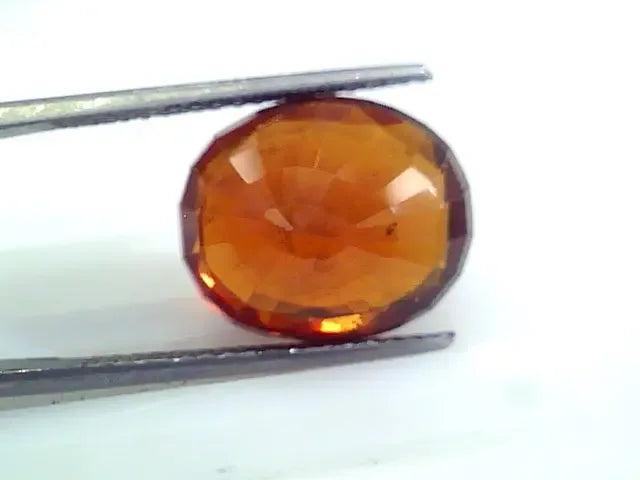 Huge 11.72 Ct Untreated Premium Natural Ceylon Gomedh/Hessonite - Venus Gems