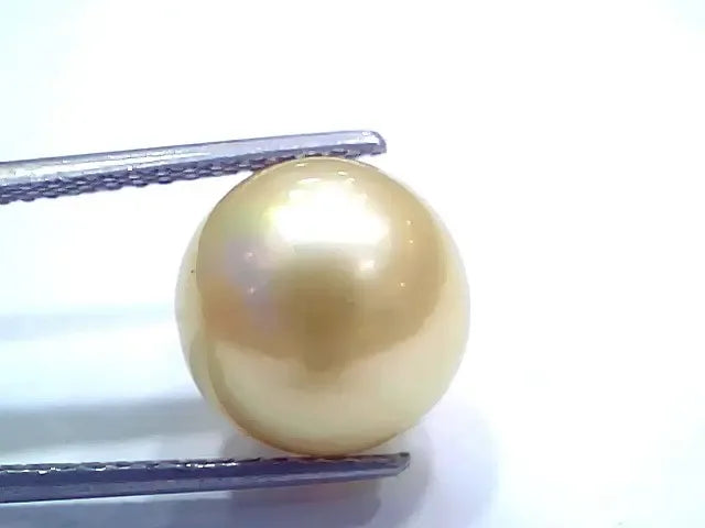 Huge 11.72 Ct Natural Certified Real South Sea Pearl Certified Moti - Venus Gems