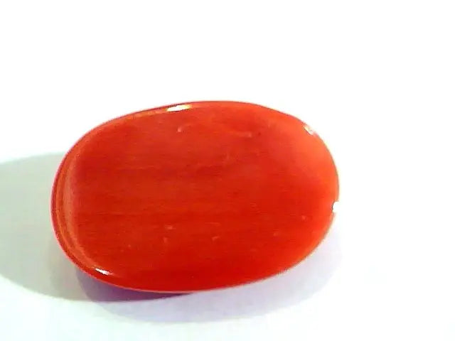 Huge 12.00 Ct Untreated Natural Premium Italian Red Coral AAAAA