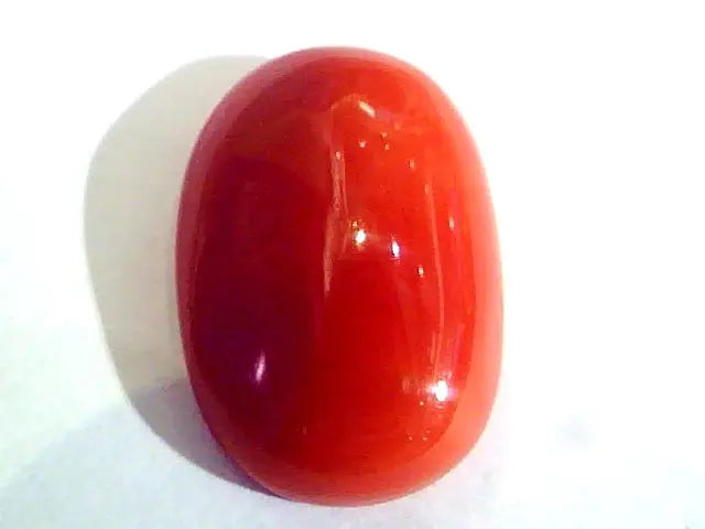 Huge 12.00 Ct Untreated Natural Premium Italian Red Coral AAAAA