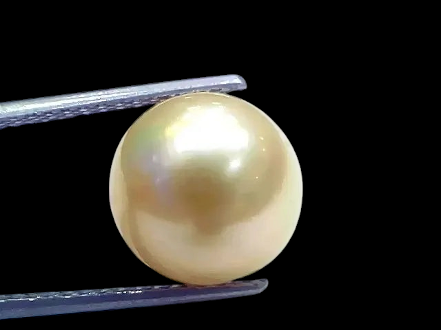 Huge 11.01 Ct Natural Certified Real South Sea Pearl Certified Moti - Venus Gems