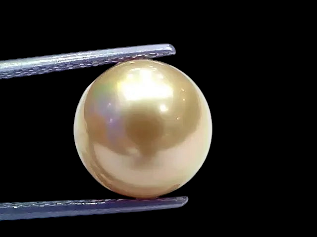 Huge 11.57 Ct Natural Certified Real South Sea Pearl Certified Moti - Venus Gems