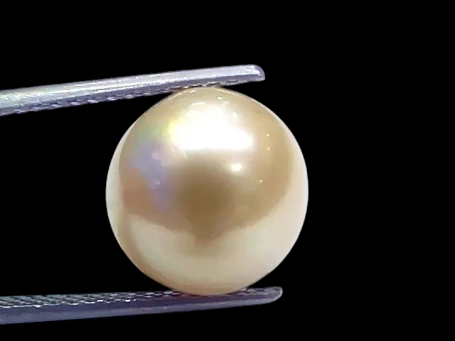 Huge 11.22 Ct Natural Certified Real South Sea Pearl Certified Moti - Venus Gems