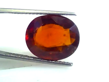 Huge 11.72 Ct Untreated Premium Natural Ceylon Gomedh/Hessonite - Venus Gems