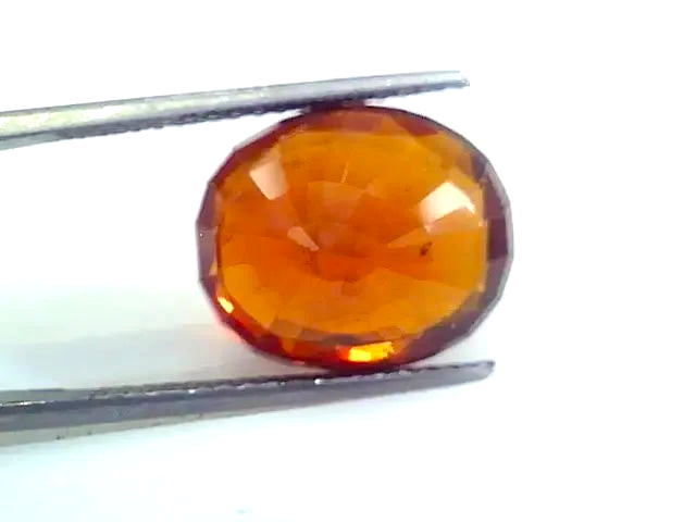 Huge 11.72 Ct Untreated Premium Natural Ceylon Gomedh/Hessonite - Venus Gems
