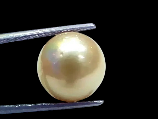 Huge 11.28 Ct Natural Certified Real South Sea Pearl Certified Moti - Venus Gems