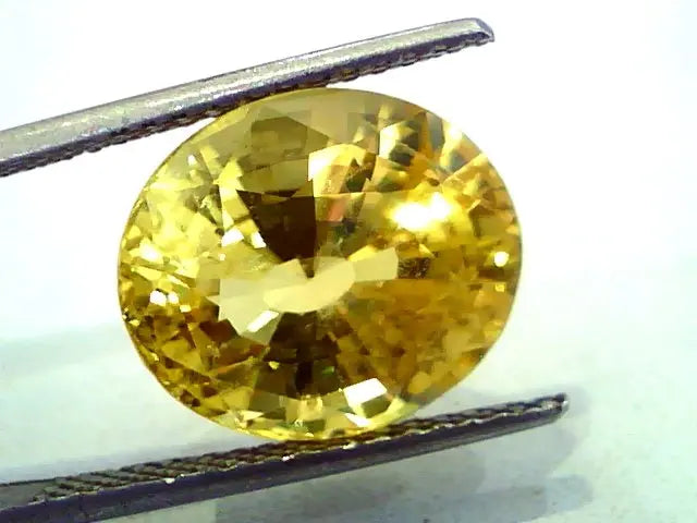 Huge 12.00 Ct Unheated Untreated Natural Ceylon Yellow Sapphire AAAA