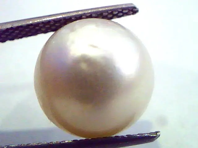 Huge 12.07 Carat Natural Certified Real South Sea Pearl,Certified Moti