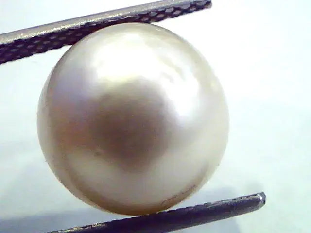 Huge 12.10 Carat Natural Certified Real South Sea Pearl,Certified Moti