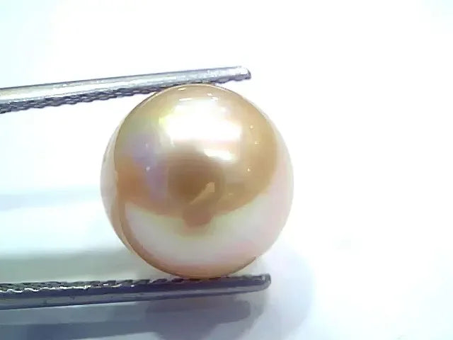 Huge 12.18 Ct Natural Certified Real South Sea Pearl Certified Moti - Venus Gems
