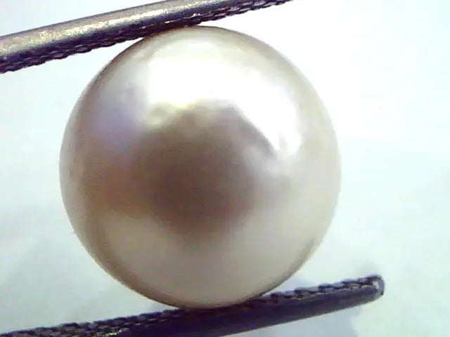 Huge 12.27 Carat Natural Certified Real South Sea Pearl,Certified Moti