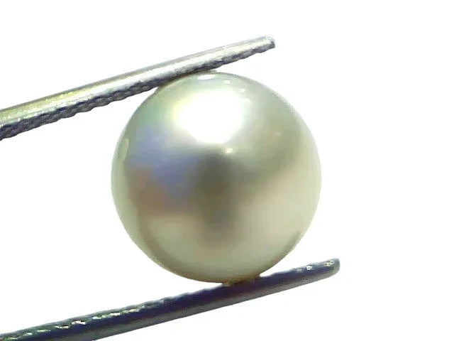 Huge 12.34 Ct Natural Certified Real South Sea Pearl Certified Moti - Venus Gems