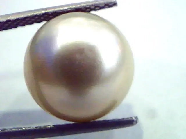 Huge 12.28 Carat Natural Certified Real South Sea Pearl,Certified Moti