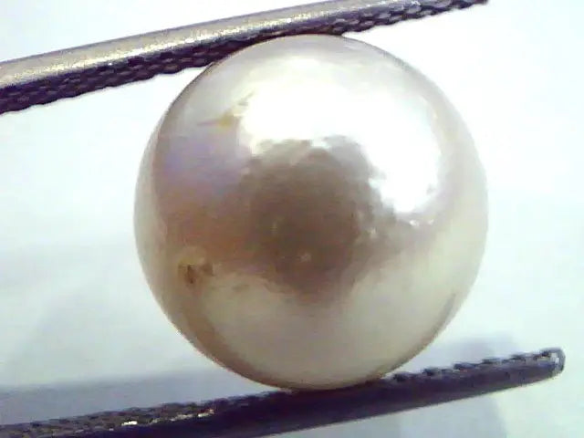 Huge 12.34 Carat Natural Certified Real South Sea Pearl,Certified Moti
