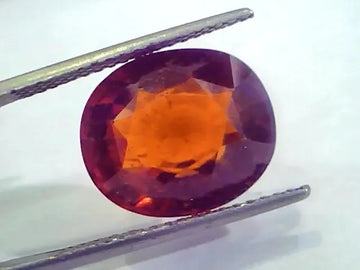 Huge 12.40 Ct Untreated Premium Natural Ceylon Gomedh/Hessonite - Venus Gems