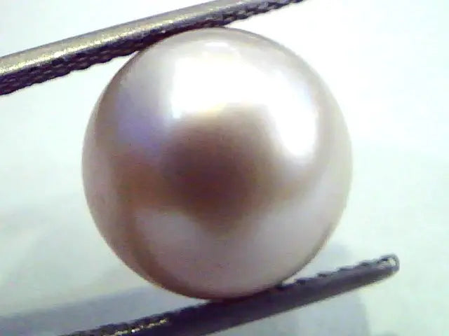 Huge 12.55 Carat Natural Certified Real South Sea Pearl,Certified Moti