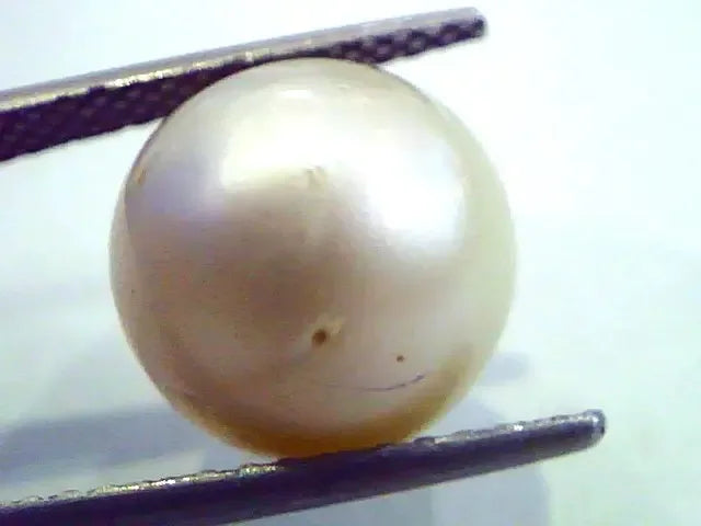 Huge 12.51 Carat Natural Certified Real South Sea Pearl,Certified Moti - Venus Gems
