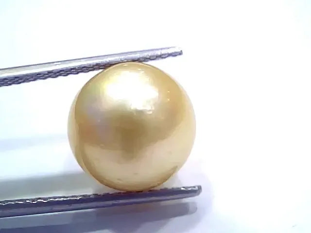 Huge 12.63 Ct Natural Certified Real South Sea Pearl Certified Moti - Venus Gems