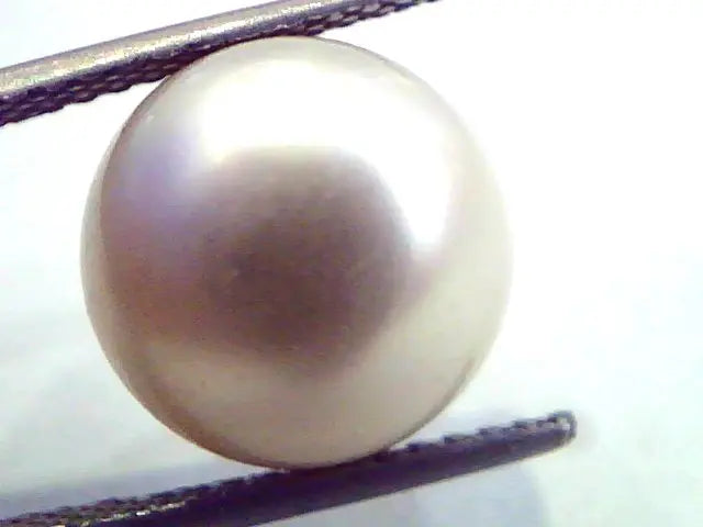 Huge 12.66 Carat Natural Certified Real South Sea Pearl,Certified Moti