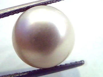 Huge 12.66 Carat Natural Certified Real South Sea Pearl,Certified Moti