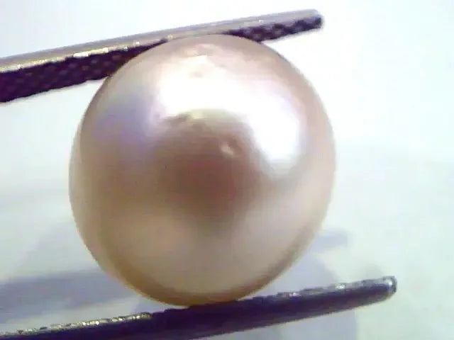Huge 12.73 Carat Natural Certified Real South Sea Pearl,Certified Moti - Venus Gems