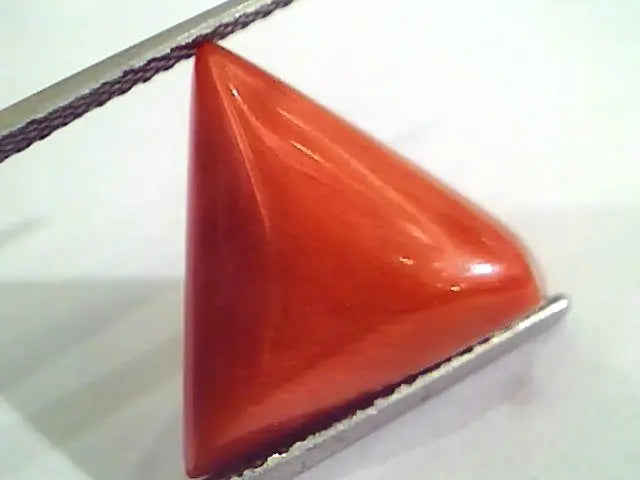 Huge 12.92 Ct Untreated Natural Italian Triangle Red Coral AAA
