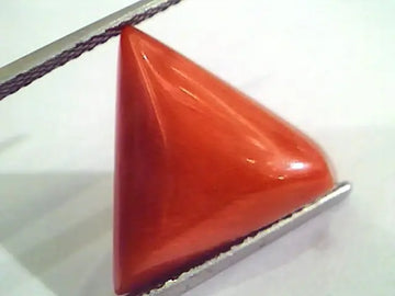 Huge 12.92 Ct Untreated Natural Italian Triangle Red Coral AAA