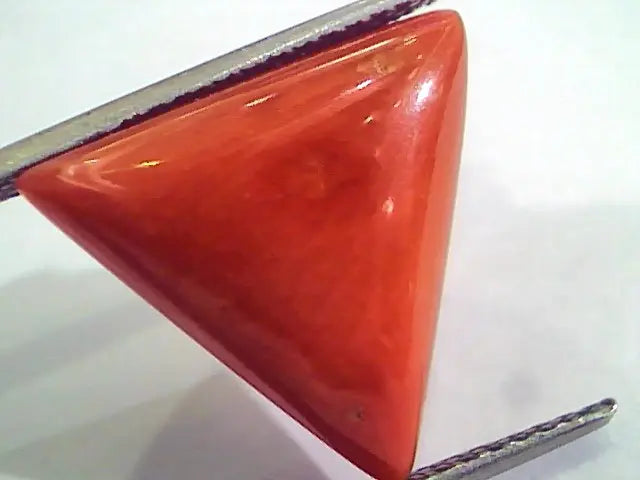 Huge 12.92 Ct Untreated Natural Italian Triangle Red Coral AAA