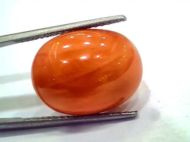 Huge 12.95 Ct 21.5 Ratti Natural Untreated Japan Red Coral Moonga Gems
