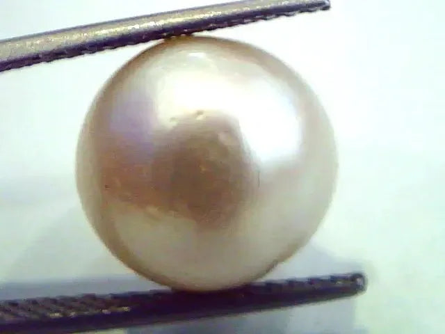 Huge 13.05 Carat Natural Certified Real South Sea Pearl,Certified Moti - Venus Gems