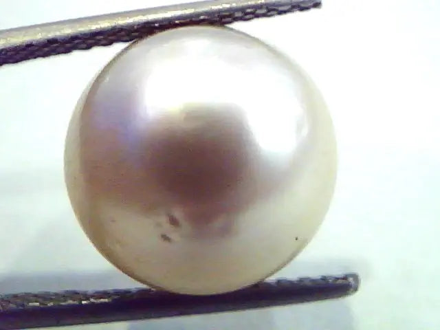 Huge 12.03 Carat Natural Certified Real South Sea Pearl,Certified Moti