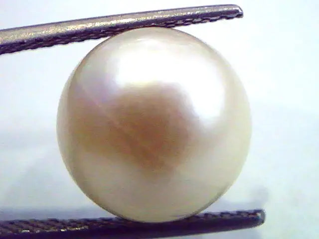 Huge 12.05 Carat Natural Certified Real South Sea Pearl,Certified Moti