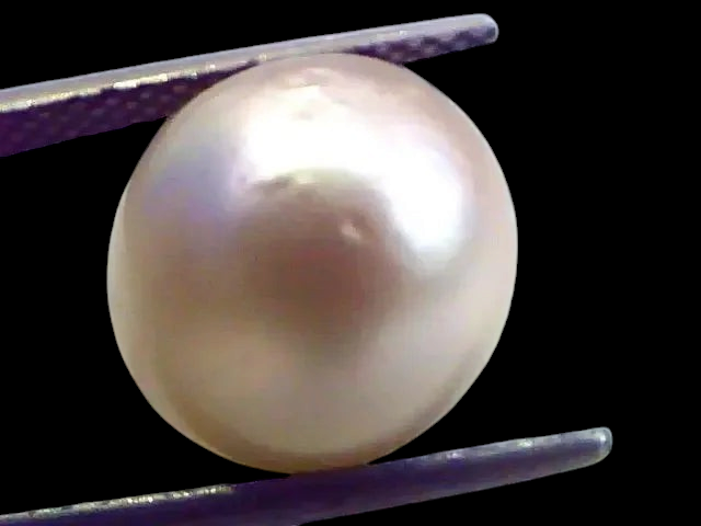 Huge 12.73 Carat Natural Certified Real South Sea Pearl,Certified Moti - Venus Gems