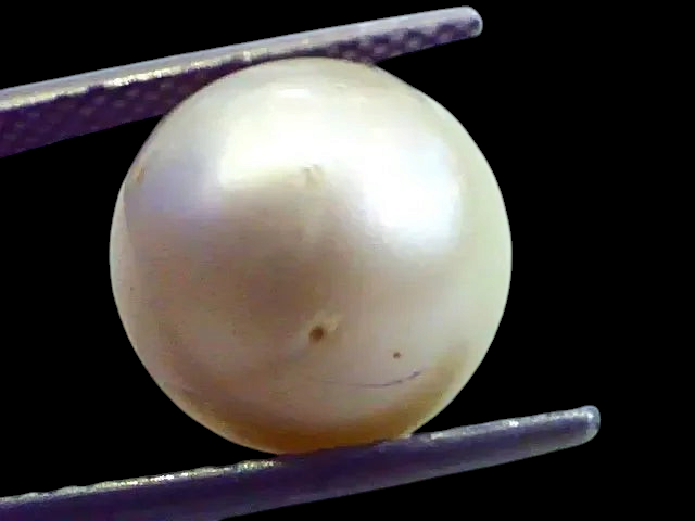 Huge 12.51 Carat Natural Certified Real South Sea Pearl,Certified Moti - Venus Gems