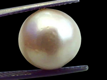 Huge 13.05 Carat Natural Certified Real South Sea Pearl,Certified Moti - Venus Gems