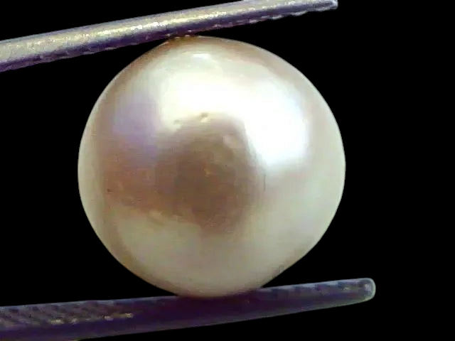 Huge 13.05 Carat Natural Certified Real South Sea Pearl,Certified Moti - Venus Gems
