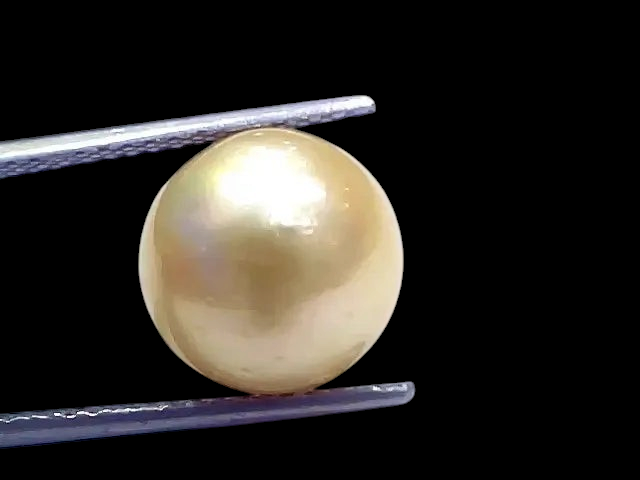 Huge 12.63 Ct Natural Certified Real South Sea Pearl Certified Moti - Venus Gems