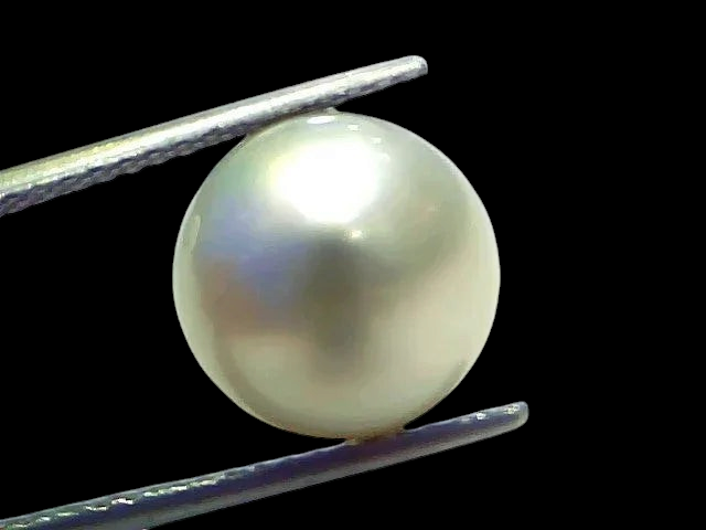 Huge 12.34 Ct Natural Certified Real South Sea Pearl Certified Moti - Venus Gems