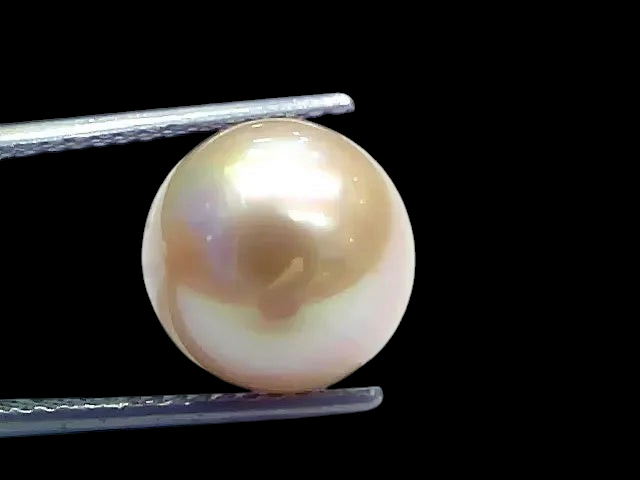 Huge 12.18 Ct Natural Certified Real South Sea Pearl Certified Moti - Venus Gems