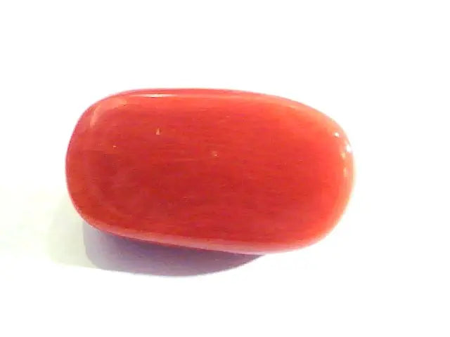 Huge 13.48 Ct Untreated Natural Premium Italian Red Coral AAAAA