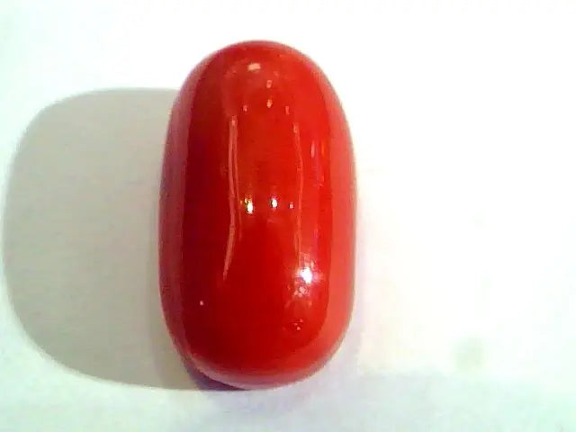 Huge 13.48 Ct Untreated Natural Premium Italian Red Coral AAAAA