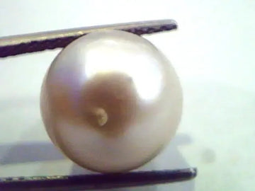 Huge 13.82 Carat Natural Certified Real South Sea Pearl,Certified Moti - Venus Gems