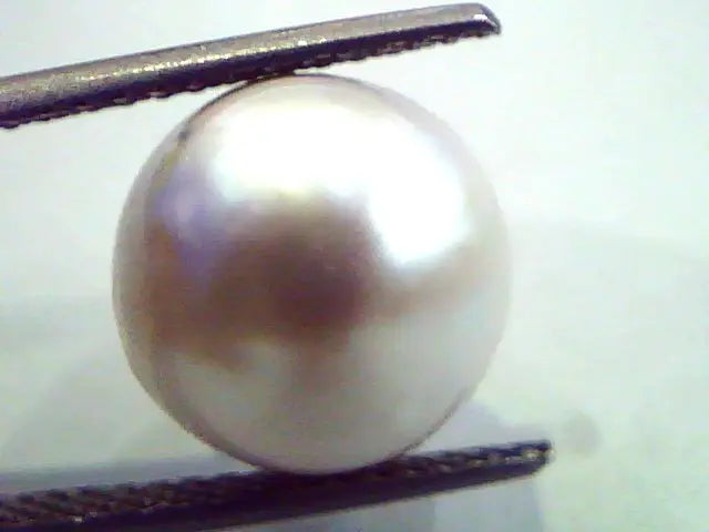 Huge 13.93 Carat Natural Certified Real South Sea Pearl,Certified Moti