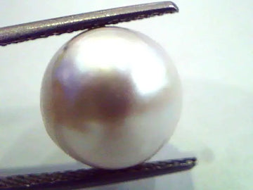 Huge 13.93 Carat Natural Certified Real South Sea Pearl,Certified Moti