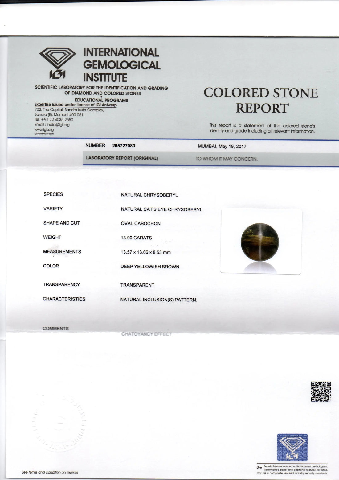 Huge 13.90 Ct IGI Certified Untreated Natural Ceylon Chrysoberyl Cats Eye - Venus Gems