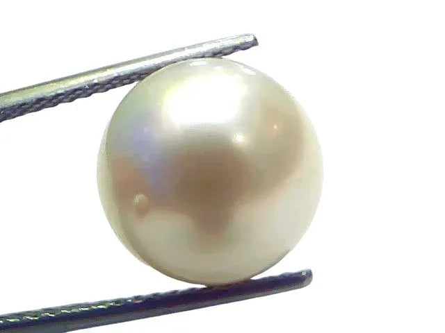Huge 14.02 Ct Natural Certified Real South Sea Pearl Certified Moti - Venus Gems
