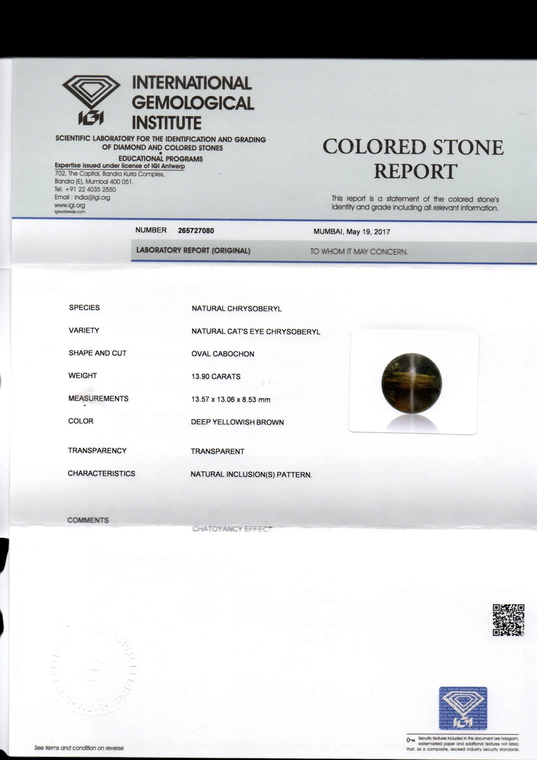Huge 13.90 Ct IGI Certified Untreated Natural Ceylon Chrysoberyl Cats Eye - Venus Gems